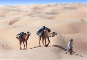 Retour de la Caravane vers l'oasis de Sabria